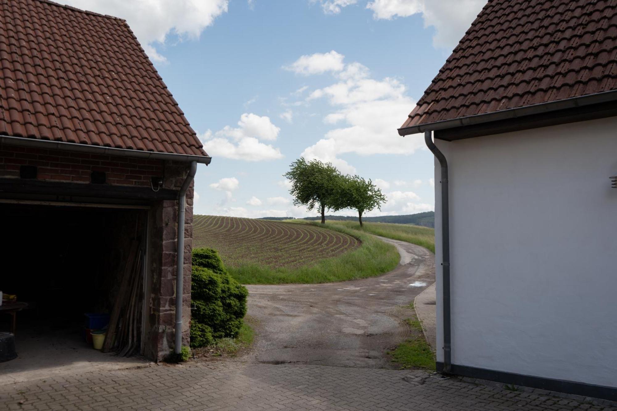 Idyllische Ferienwohnung Im Kalletal Kültér fotó