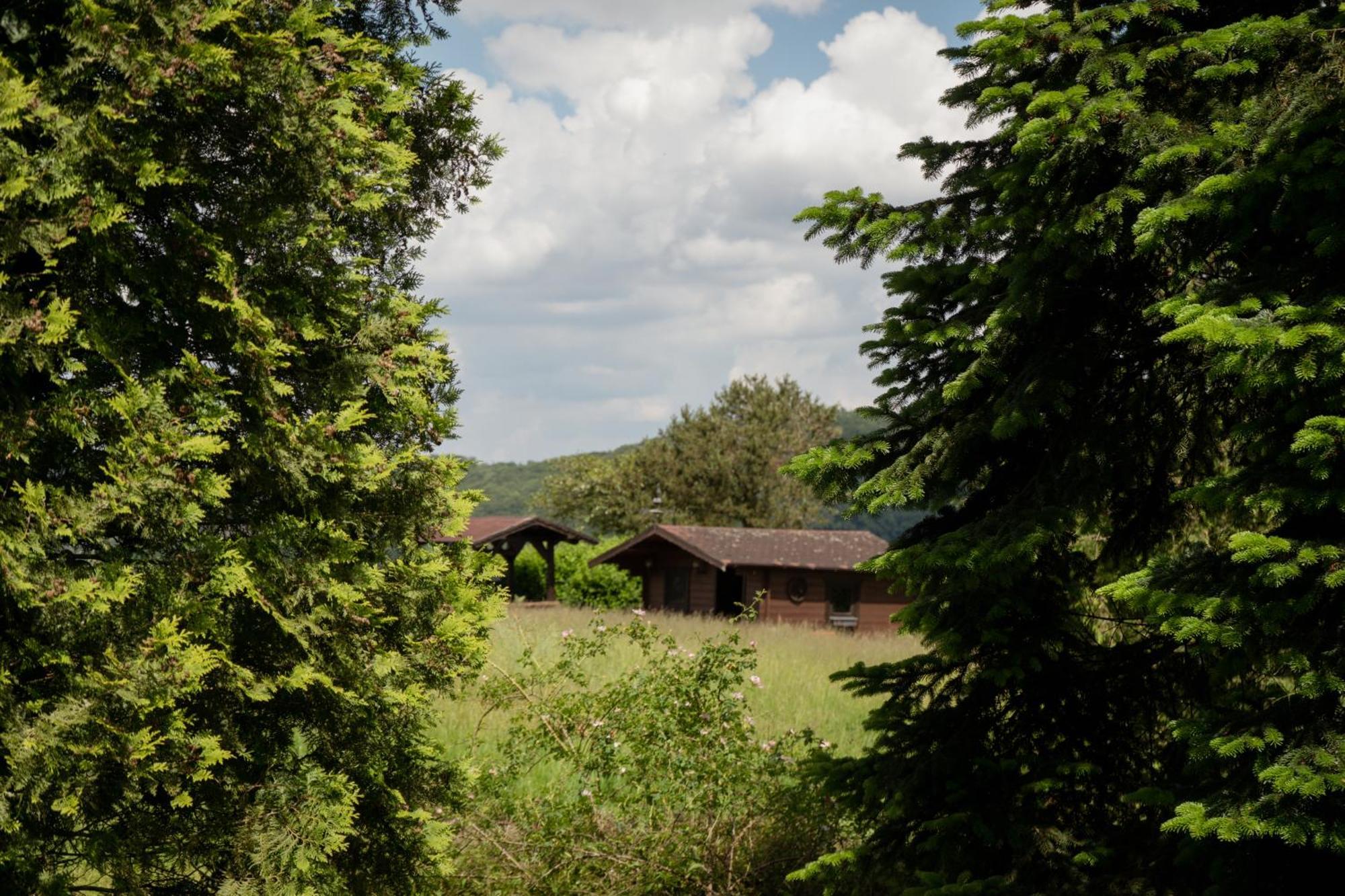 Idyllische Ferienwohnung Im Kalletal Kültér fotó