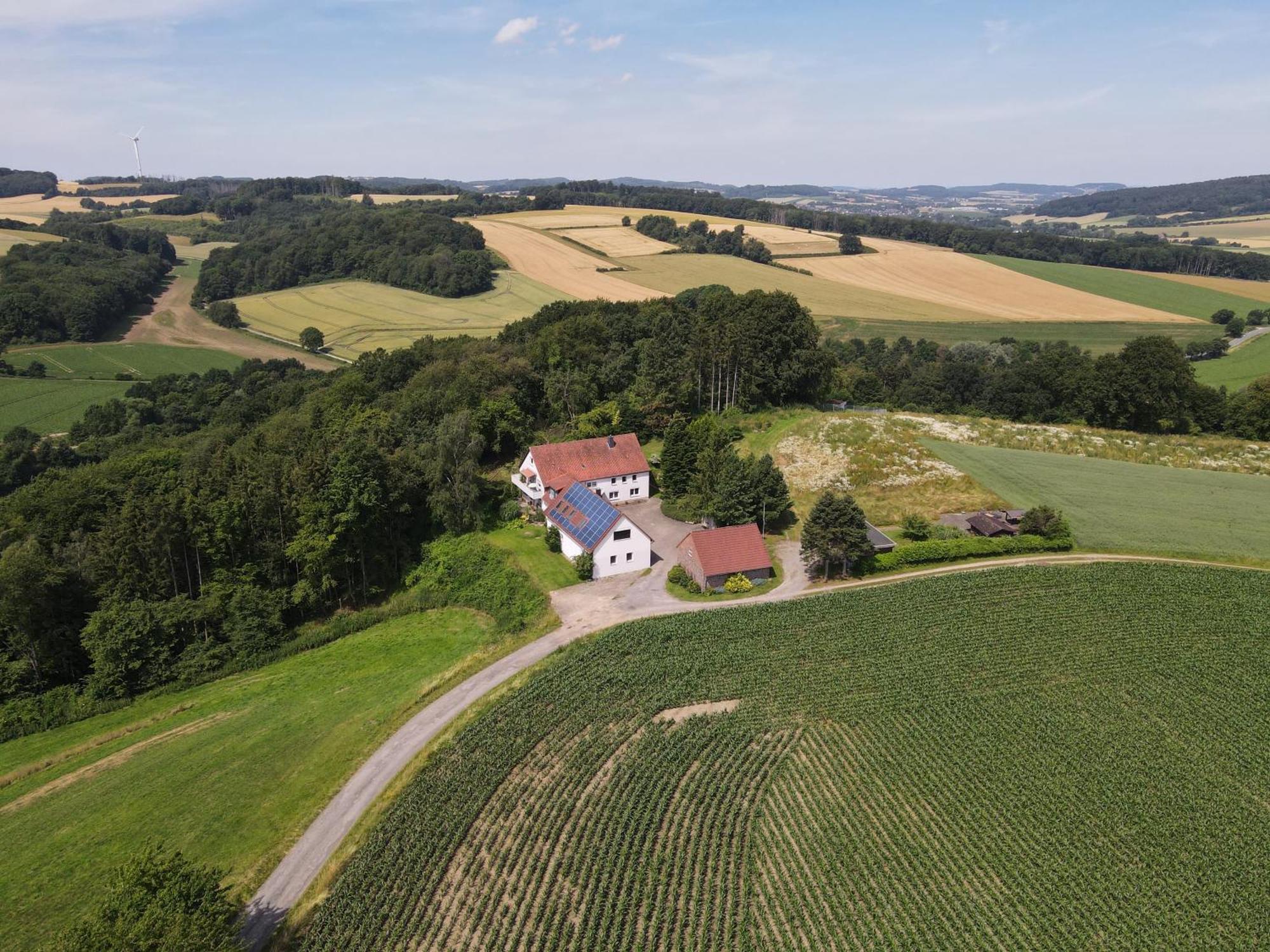 Idyllische Ferienwohnung Im Kalletal Kültér fotó